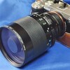 【レンズ沼346本目】ミラーレンズTAMRON SP 500mm F8 Adaptall IIで超望遠撮影【α7C】