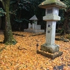 椿大神社境内の敷き落ち葉