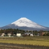 今朝の富士山(20231114)