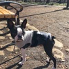 井の頭公園を散策