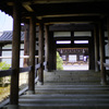東福寺＠2017夏の快晴 その２