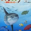 今ニンテンドー６４のぬし釣り64 -潮風に乗って-にいい感じでとんでもないことが起こっている？