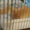 寒い日のお留守番と昼、だよ