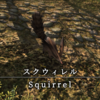 【FF14】 モンスター図鑑 No.002 「スクウィレル(Squirrel)」　