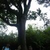 Ｈｏｔツアー