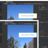 NikonのRawファイルをRawTherapeeで読み込んで、Capture NX-Dの現像結果により近づける