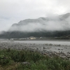 長良川郡上釣行 大和→美並