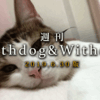 【6月30日版】注目：偏食対策｜我儘で食べない場合、犬を飼うということ　【週刊WD&WC】［2019.6.30］