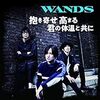 2020年5月16日の日記～第5期WANDS再始動第二弾シングルリリース