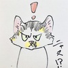 歴史は繰り返さるる。‥いや、さるやないねこや。。