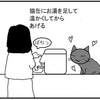 ポットは猫缶の予感