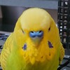 １０月２５日の相場を見てみたよ　チュン