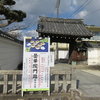 曇華院門跡の日光椿