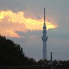 今日のスカイツリー