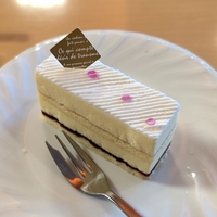 高円寺駅からすぐ、老舗ケーキ屋「トリアノン」のレアチーズケーキを食べてみた