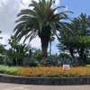 辻堂海岸から大庭城址公園へ歩く