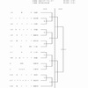 全日本クラブ男子選手大会兵庫県大会