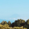 今朝の景色