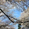 笑顔満開・・桜も