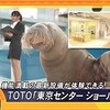  小田あさ美「セイウチ・ビジネス・スタジアム」