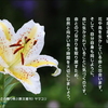 こころの道しるべ（224）命と出会う
