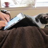 鶴の恩返しなiPad