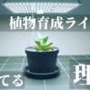 【初心者にもオススメ】安心・安全・安価！コスパ良し！初心者にも！植物育成用LEDパネルライト「BRIM PANEL A（ブリムパネルエー）」をレビュー！値段の安い「GREENSINDOOR」とのスペック比較も！室内管理はこれで安心！観葉植物｜アガベ｜塊根植物｜多肉植物｜実生苗