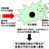 じじぃの「科学・地球_136_がんとは何か・がんと老化の複雑な関係」