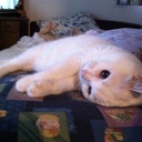 るるまゆの実験ノート