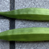 庭で夏野菜 46　【オクラ】