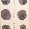 洪水のきそうな朝　網谷厚子詩集