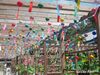 風鈴まつりin可睡齋2019