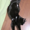 悪夢から覚める