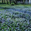 5月8日月
