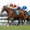 競馬初心者必見☆馬券予想🔥〜オーシャンS〜内枠の逃げ馬を狙い撃ち！