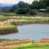 鹿ノ丸堤（長崎県東彼杵）