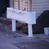 ハクセキレイ