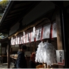 大神神社写真館（８/２７）