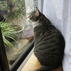 狩猟本能の目覚め