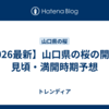 【2026最新】山口県の桜の開花・見頃・満開時期予想