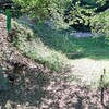 桜神苑の左手の法面の雑草を奥に刈り進んで