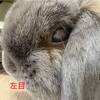 【通院記録　その④】つきの目