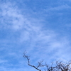 秋の空