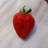 【大谷選手】ハート型のイチゴです！【おめでとうございます！】