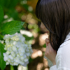 紫陽花に咲く❣️ なるはちゃん その31 ─ 北陸モデルコレクション 2023.6.18 太閤山ランド ─