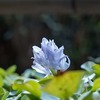 No. 1058 "Life Full of Heaven and Earth" 2023/11/30