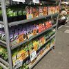 夏野菜の苗売り場