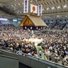 2019　3/12のおでかけ報告（エディオンアリーナ大阪　大相撲 春場所 3日目）