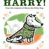 【レベル１】No Roses for Harry!