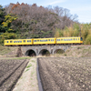 【橋を見る９３・９４】三岐鉄道北勢線のめがね橋・ねじり橋